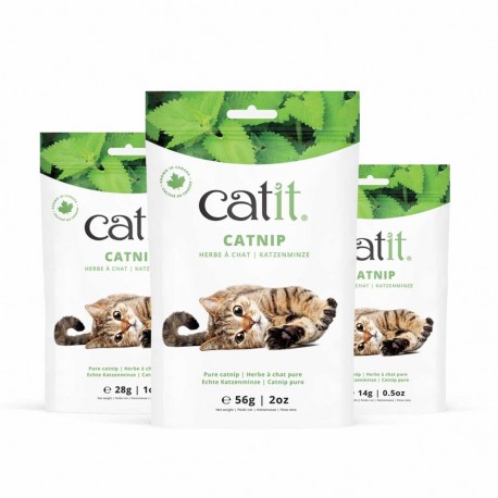 CATNIP DRIED CATIT | HIERBA PARA GATOS - 56GR