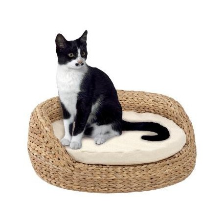 CAMA DIVAN, Ã48X22CM