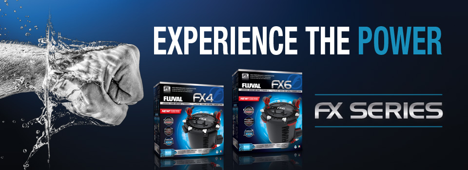 Filtro Esterno Fluval FX4 - Per Acquari, Portata 2650 L/h, 14 Litri